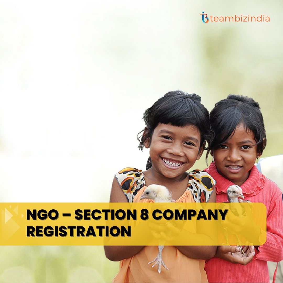 NGO – Section 8 Company Registration 1